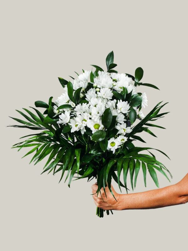 Ramo de margaritas blancas_