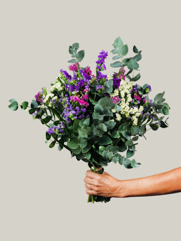 Ramo de siemprevivas_