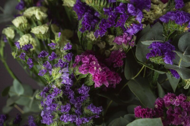 Ramo de siemprevivas de Flornaturex