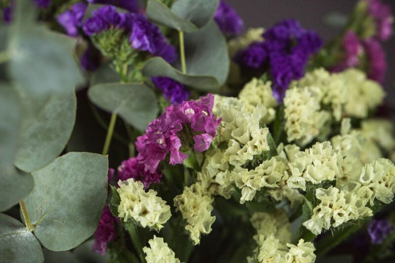 Ramo de siemprevivas de Flornaturex