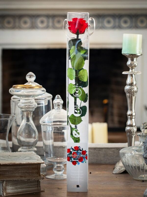 Rosa preservada roja