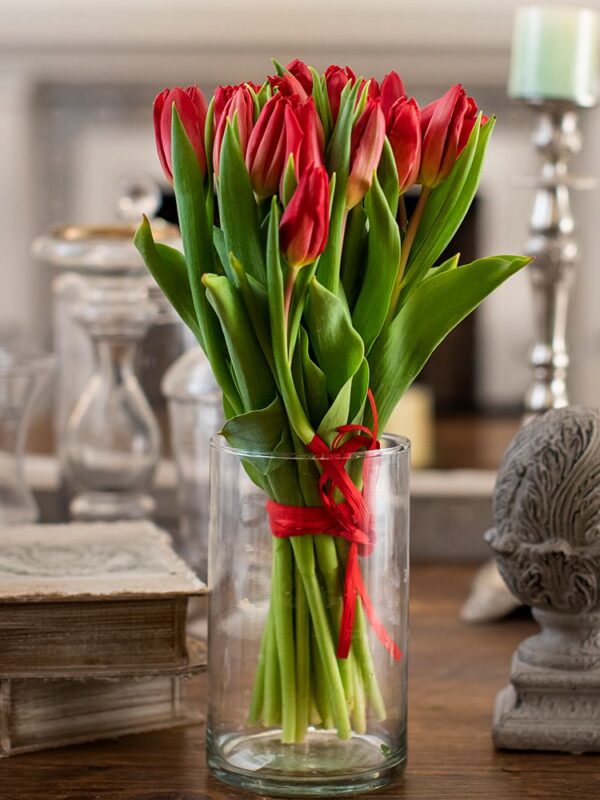 Ramo tulipán rojo