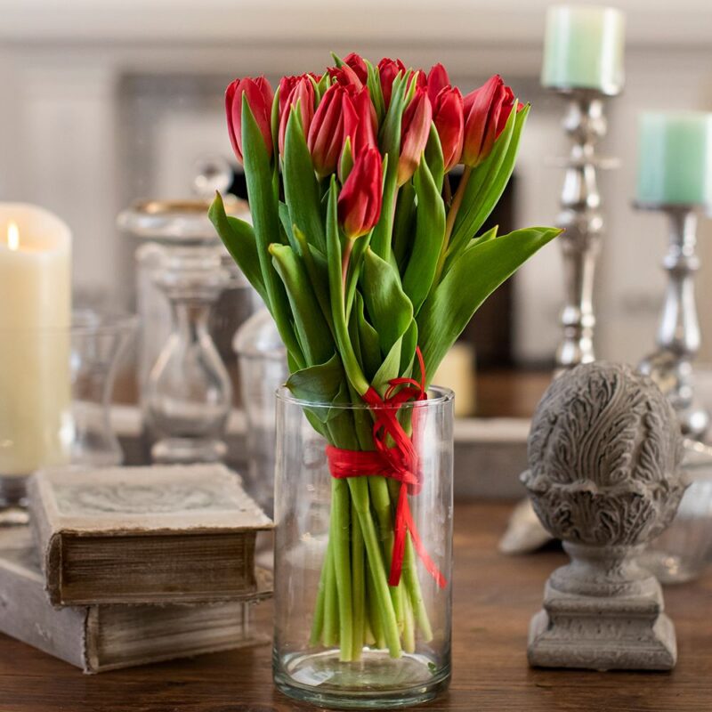 Ramo tulipán rojo