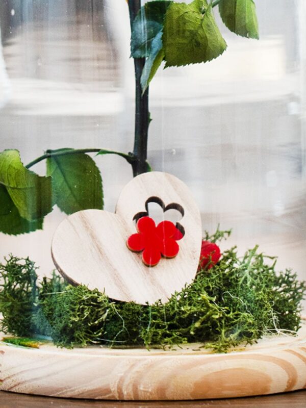 Floristería Flornaturex Flores, plantas y ramos para decoración y regalo