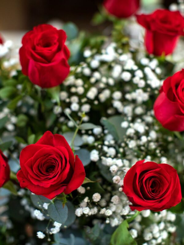 Floristería Flornaturex Flores, plantas y ramos para decoración y regalo